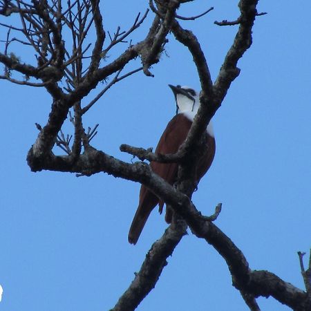 Santuario Ecologico Monteverde Dış mekan fotoğraf