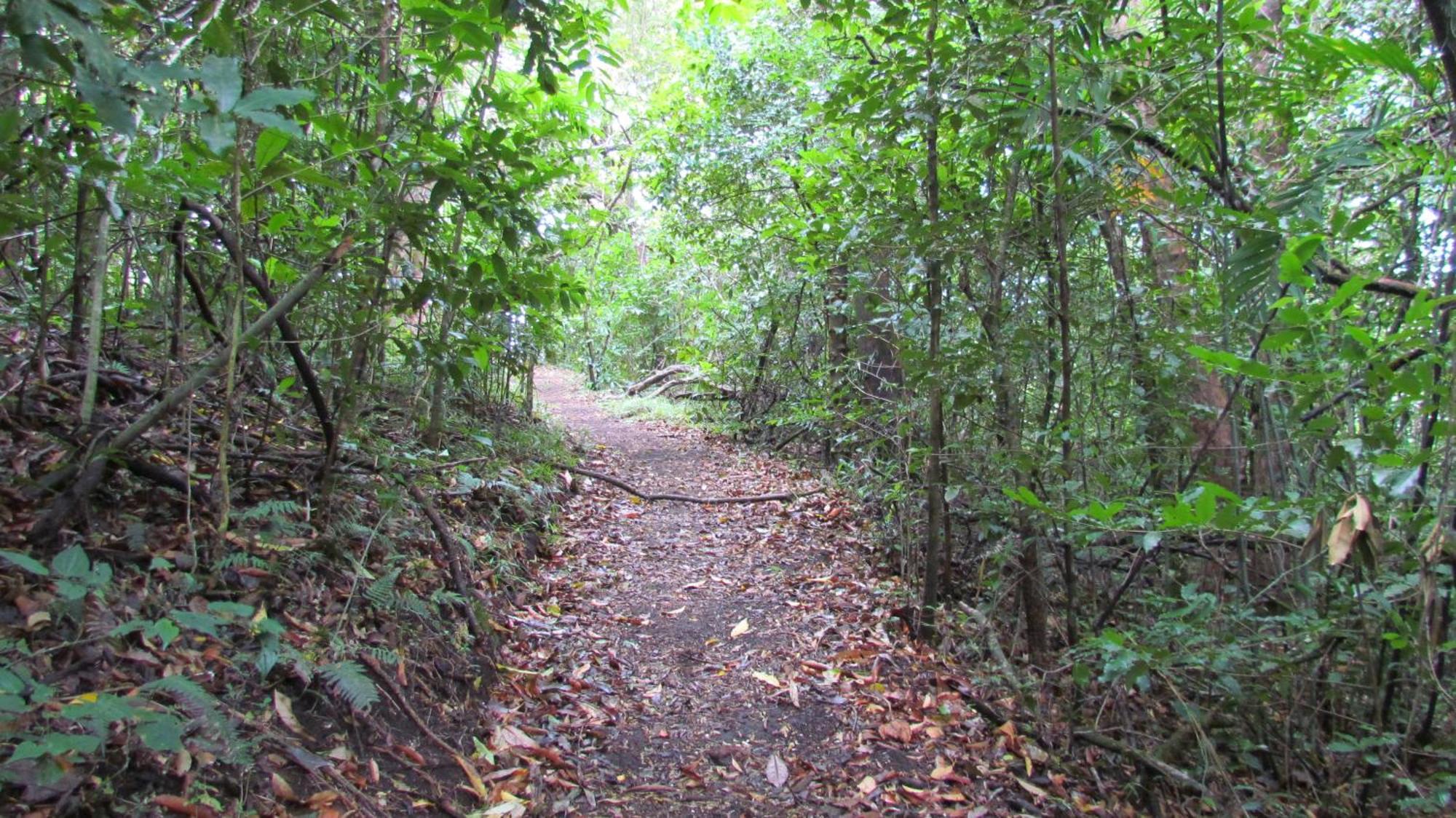 Santuario Ecologico Monteverde Dış mekan fotoğraf