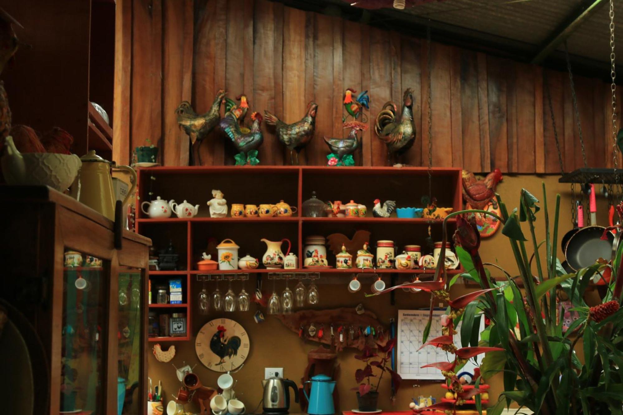Santuario Ecologico Monteverde Dış mekan fotoğraf