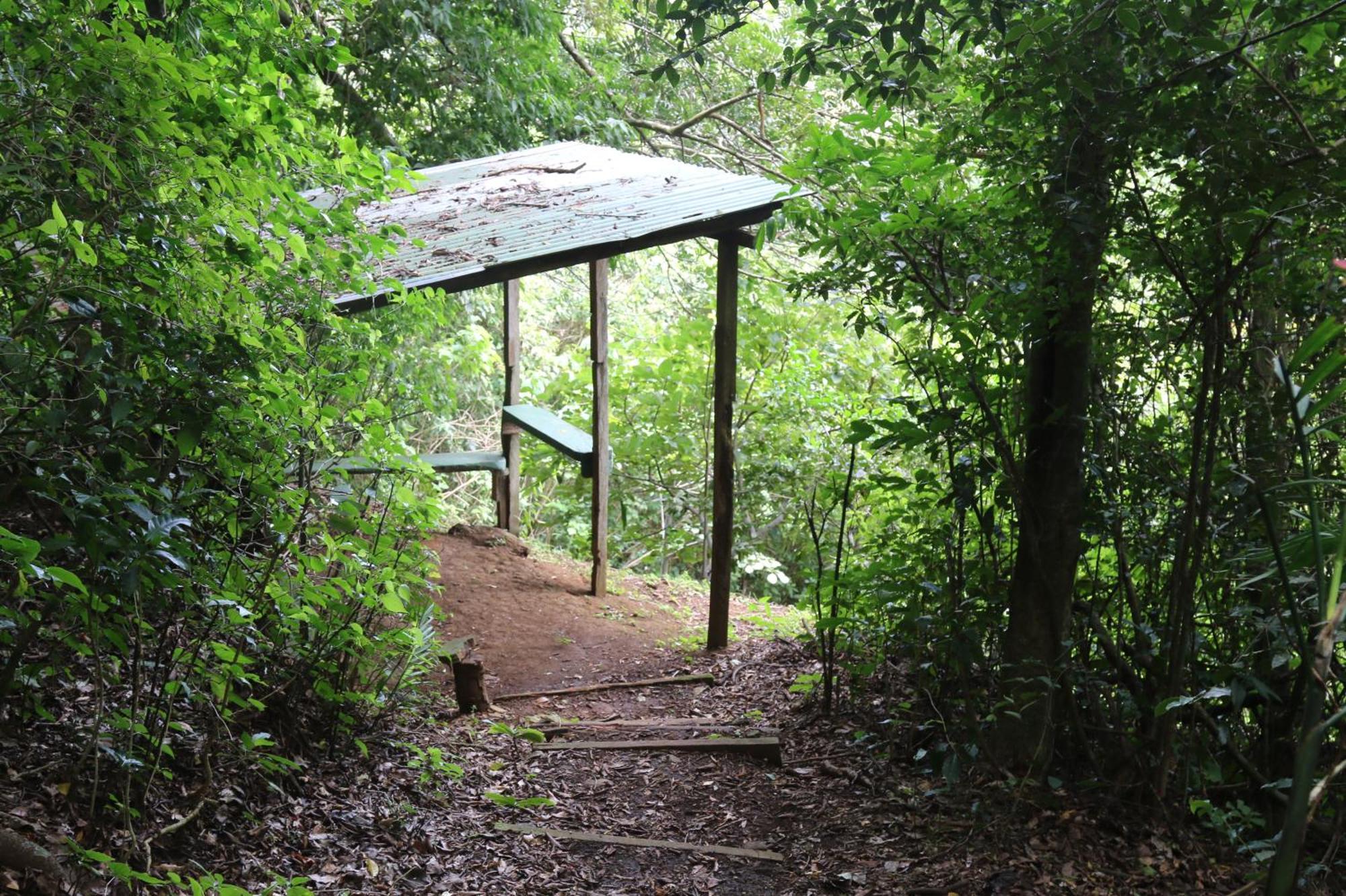 Santuario Ecologico Monteverde Dış mekan fotoğraf