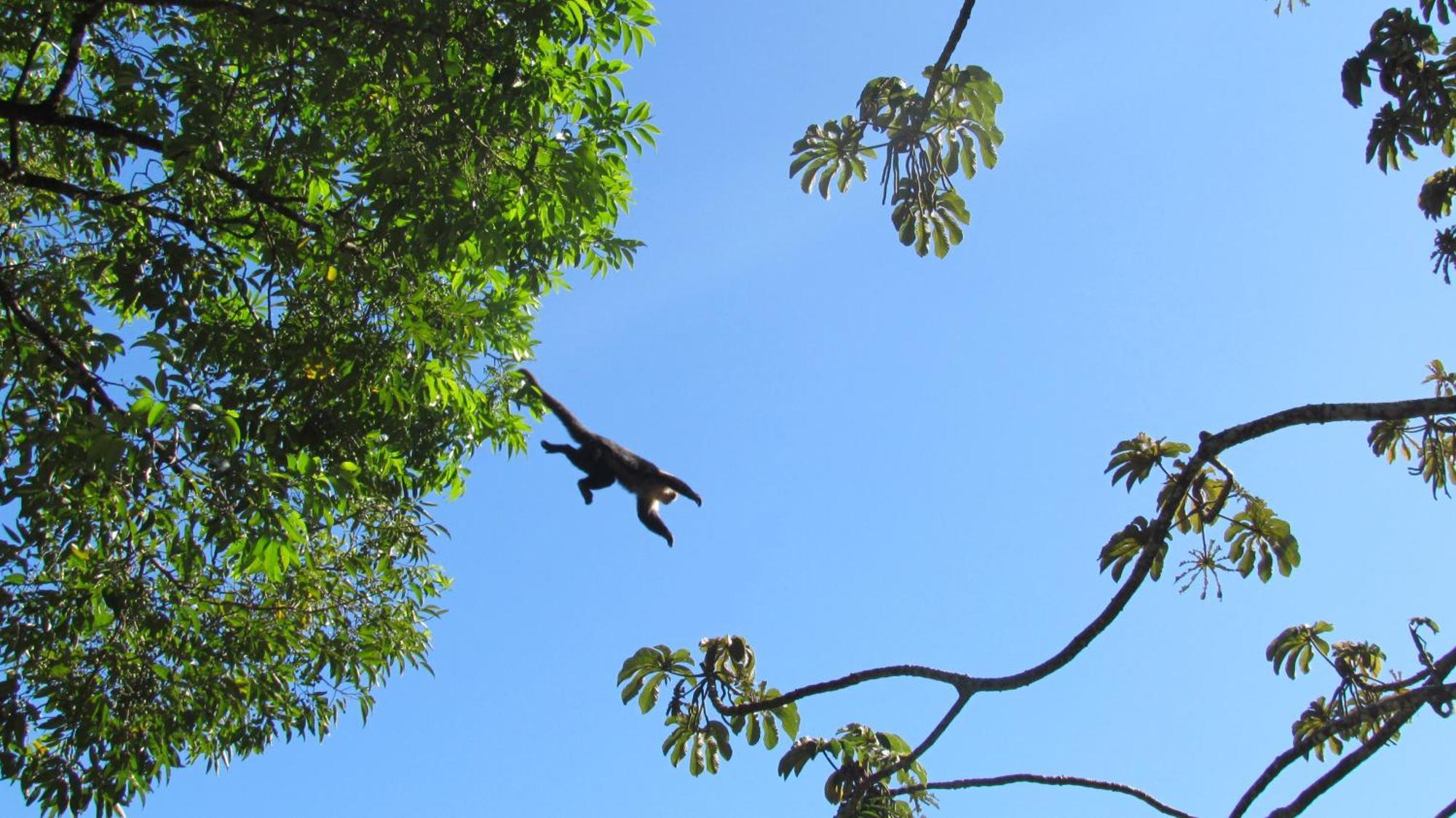 Santuario Ecologico Monteverde Dış mekan fotoğraf