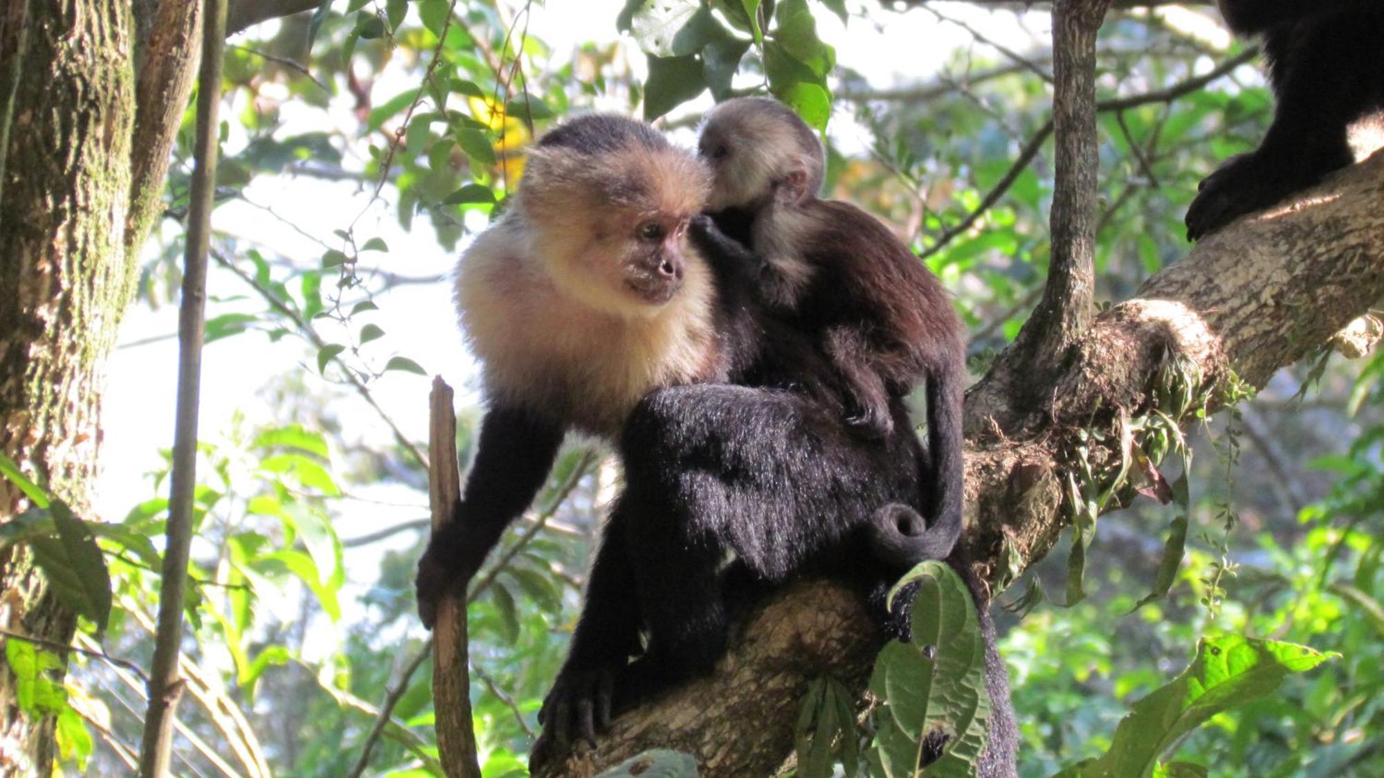 Santuario Ecologico Monteverde Dış mekan fotoğraf