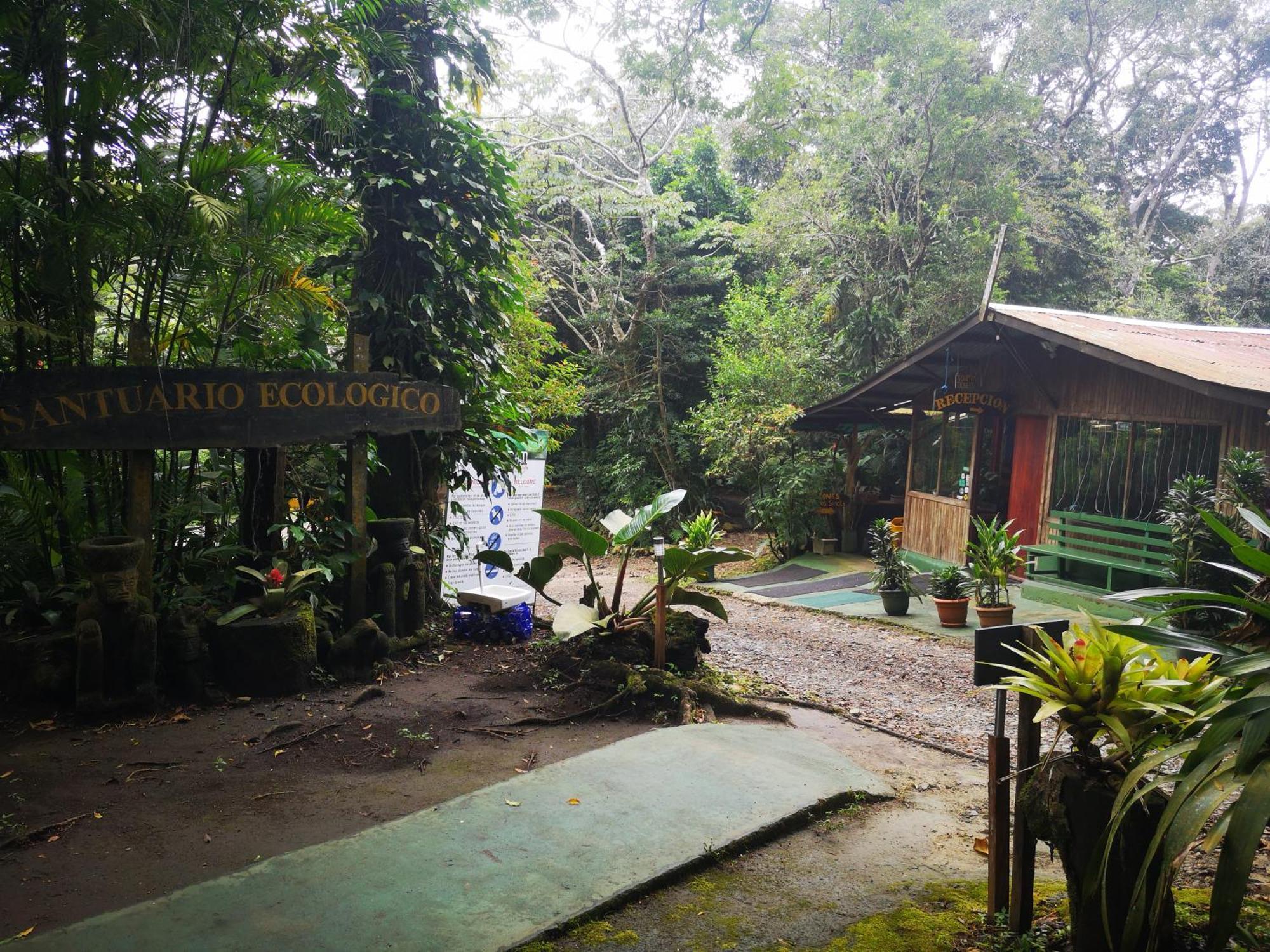 Santuario Ecologico Monteverde Dış mekan fotoğraf