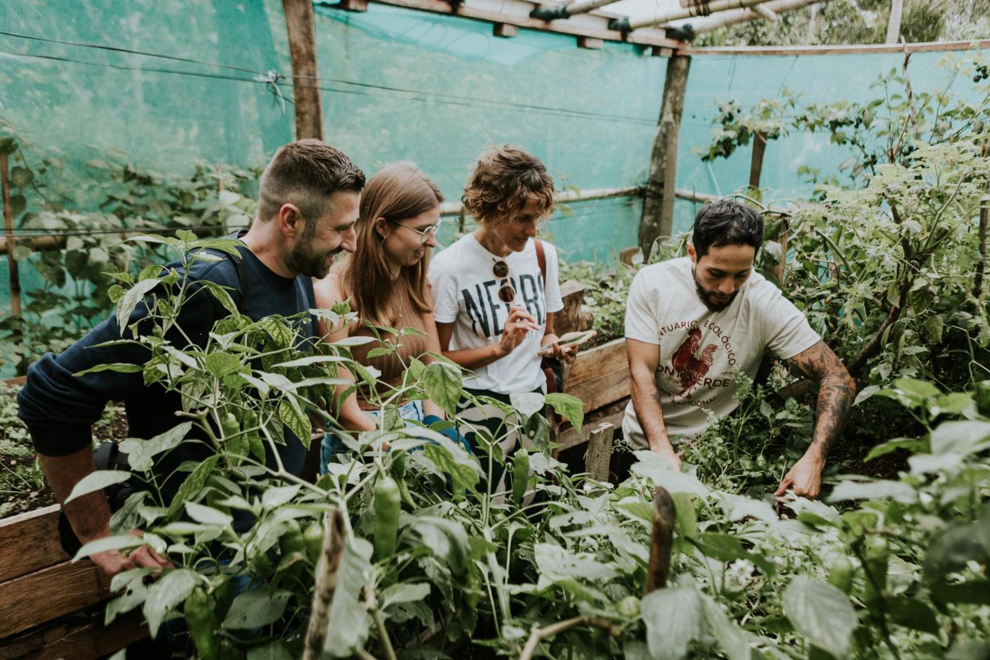 Santuario Ecologico Monteverde Dış mekan fotoğraf